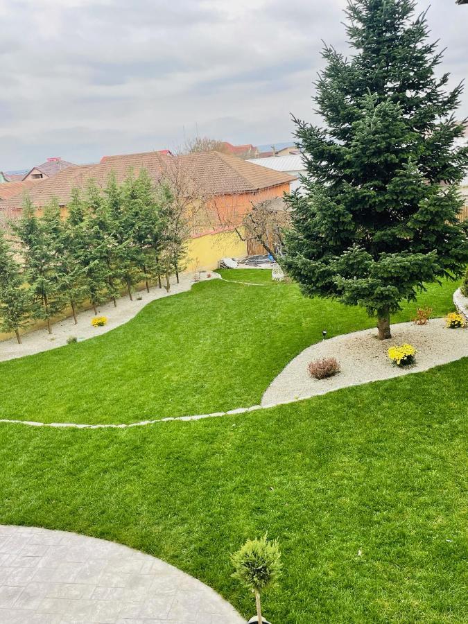 Отель Cochet Boutique Тыргу-Жиу Экстерьер фото